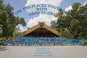 camp tiger 2010